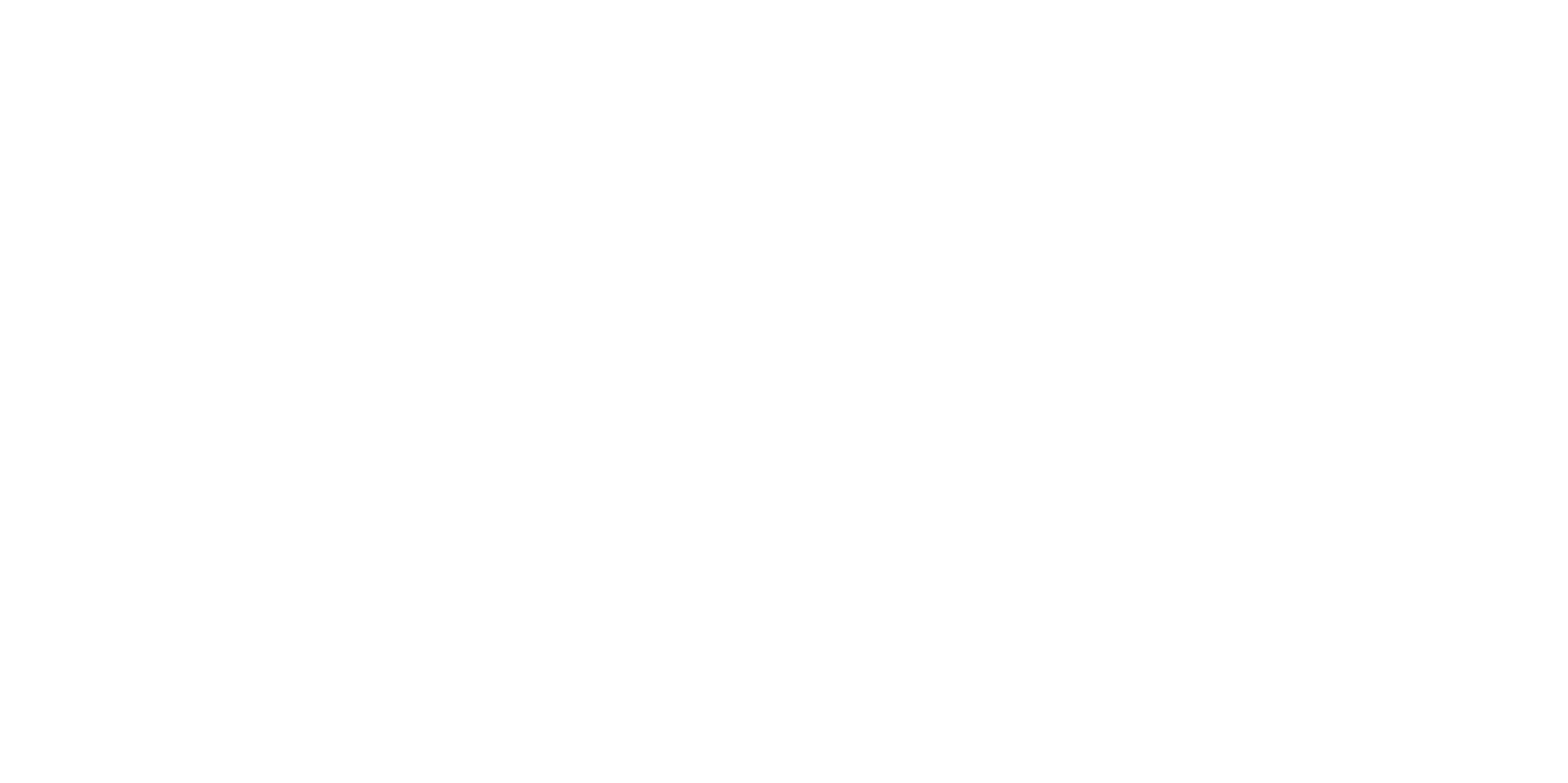 Logo Diace blanc groupe Mh industries